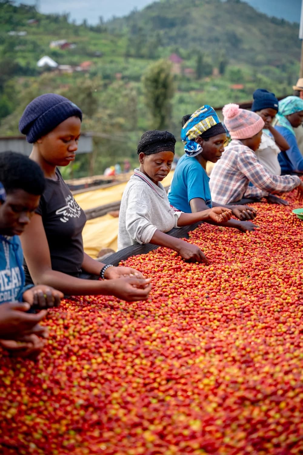 Ürün görseli: Rwanda Impexcor Project
