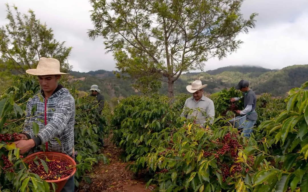 Guatemala Antigua  SHB EP