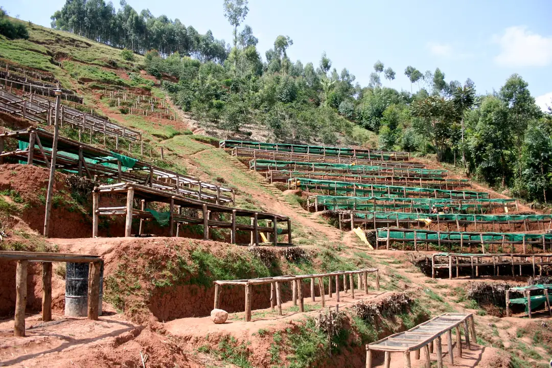 Ürün görseli: Burundi