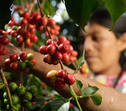 Guatemala Antigua  SHB EP