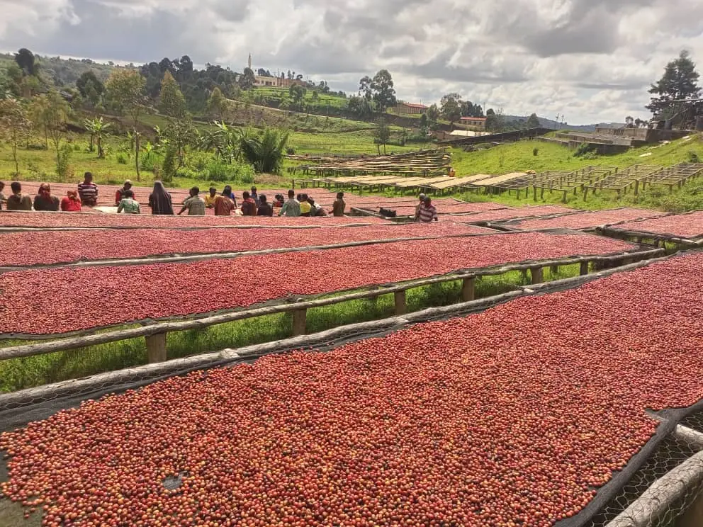 Ürün görseli: Rwanda