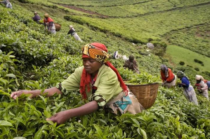 Rwanda