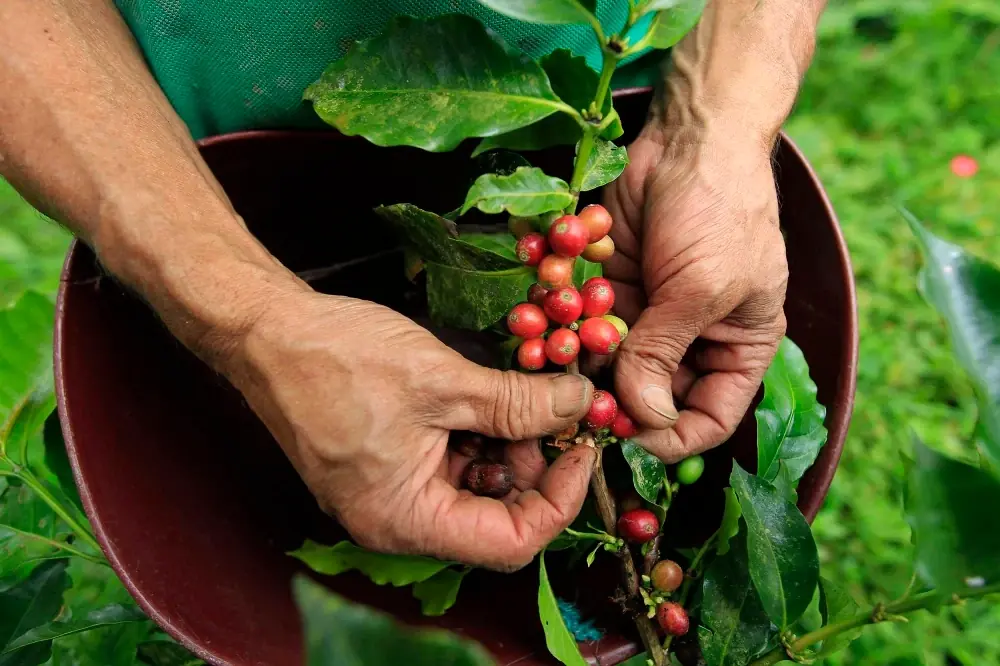 Colombia Huila